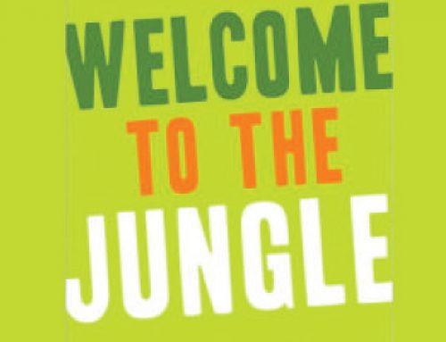 Welcome to the Jungle: Everything You Ever Wanted to Know about Bipolar but Were Too Freaked Out to Ask