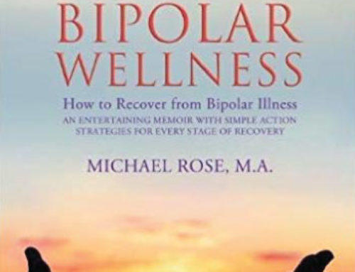 Bipolar Wellness: How to Recover from Bipolar Illness: An Entertaining Memoir with Simple Action Strategies for Every Stage of Recovery